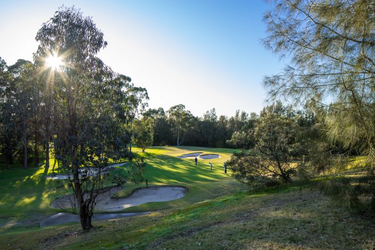 20150813 023 768x513